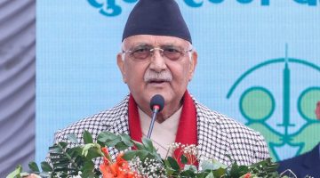 Kp-oli-kv