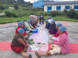 महिलालाई सीप विकासमा जोड दिँदै स्थानीय तह