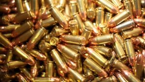 झापाबाट ५५ राउण्ड गोली बरामद